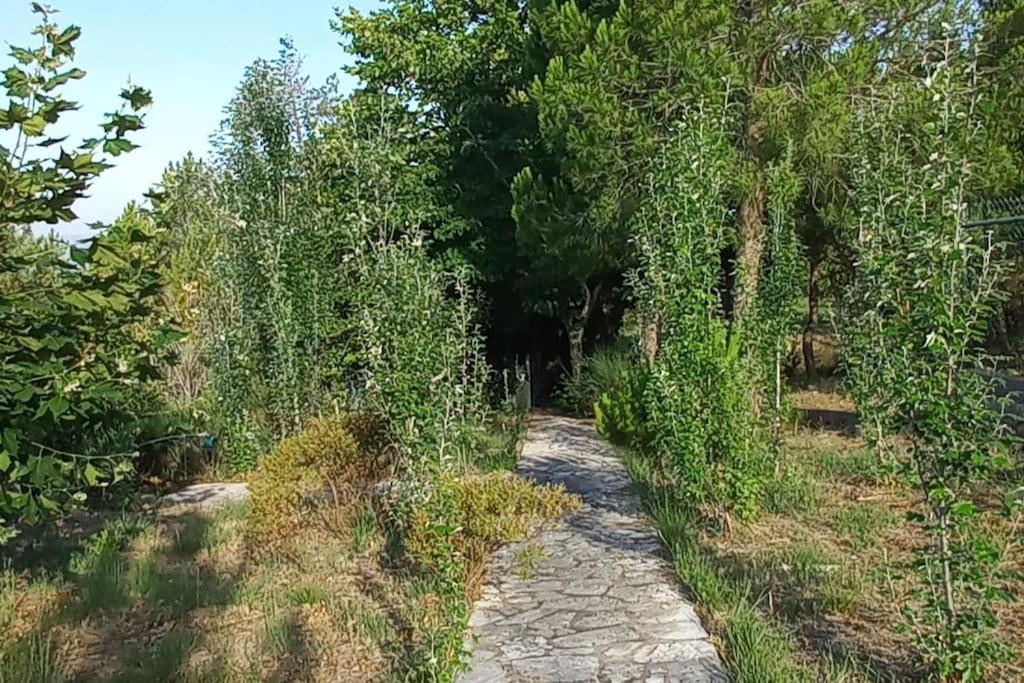 Moradia Na Serra Alcanede Kültér fotó